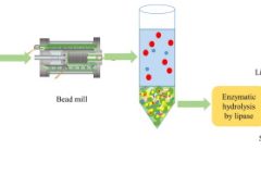 Bead Mill Machine Energy Efficiency and Cost Performance Analysis