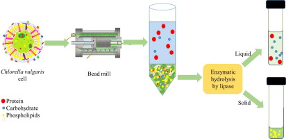 Bead Mill